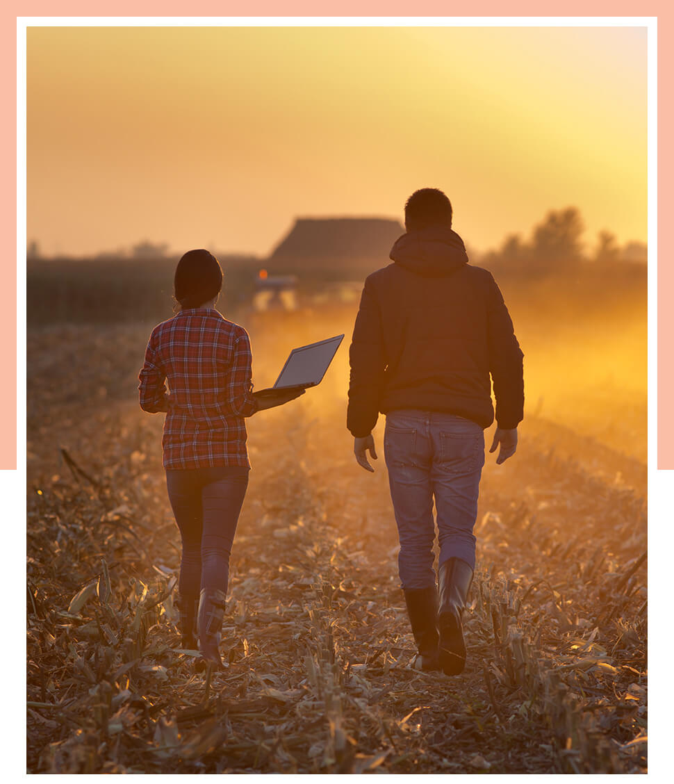 Agricultural landscape image Agricultural landscape image