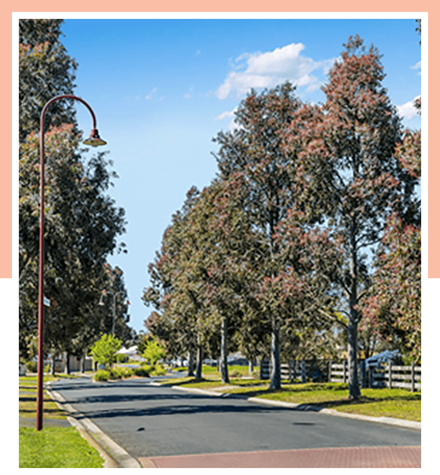 Photo of Bellarine neighbourhood